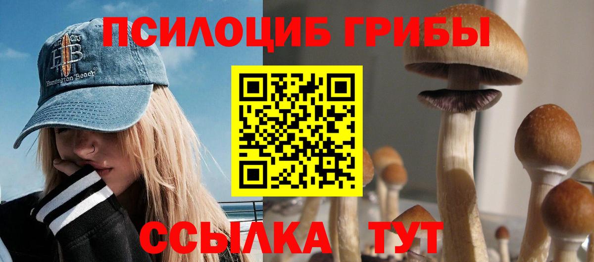 Тихорецк  Галлюциногенные грибы Psilocybe  Вход с VPN 